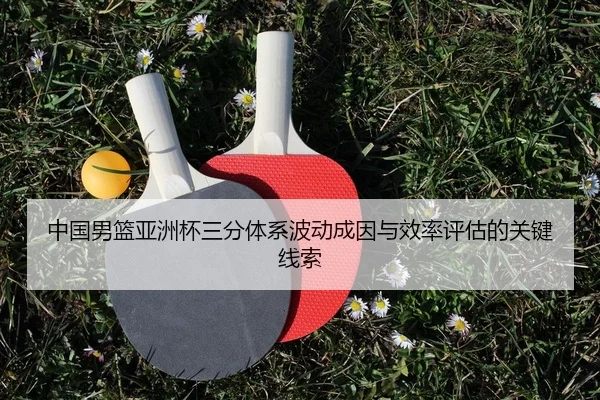 zhong-guo-nan-lan-ya-zhou-bei-san-fen-ti-xi-bo-dong-cheng-yin-yu-xiao-lv-ping-gu-de-guan-jian-xian-suo-2-273.jpg