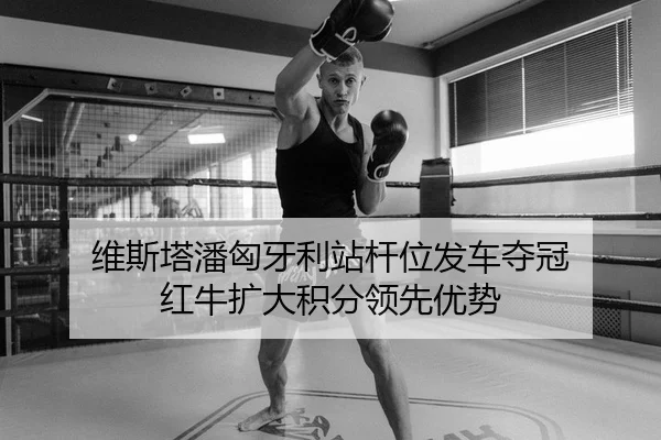 维斯塔潘匈牙利站杆位发车夺冠 红牛扩大积分领先优势